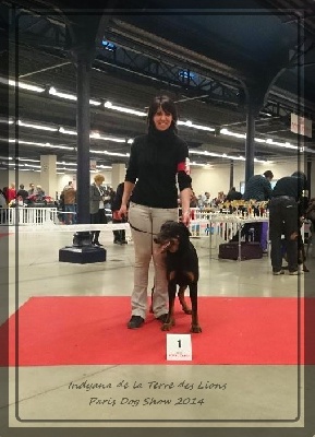 De La Terre Des Lions - Paris Dog Show